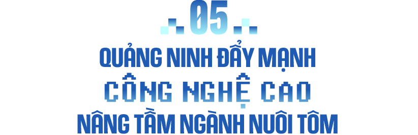 Thợ xây, nông dân thu tiền tỷ mỗi tháng nhờ nuôi tôm công nghệ cao - 19 Thợ xây, nông dân thu tiền tỷ mỗi tháng nhờ nuôi tôm công nghệ cao - 19