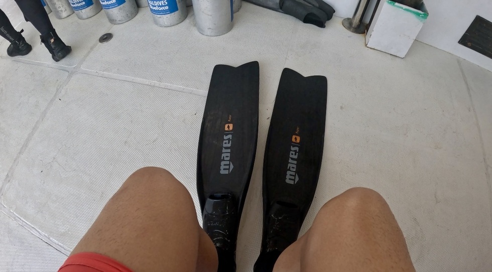 Khách Việt chi 50 triệu đồng và hành trình săn cá mập khát máu ở Maldives - 2 Khách Việt chi 50 triệu đồng và hành trình săn cá mập khát máu ở Maldives - 2