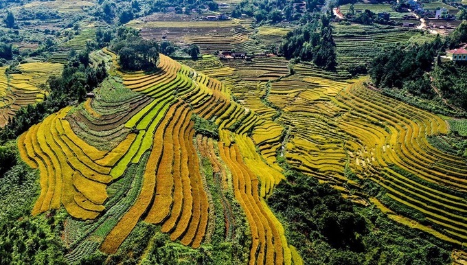 Bình Liêu