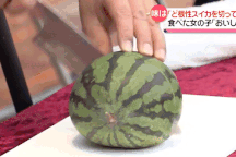 Nhật Bản tổ chức lễ bổ quả dưa hấu được "giải cứu" từ dải phân cách