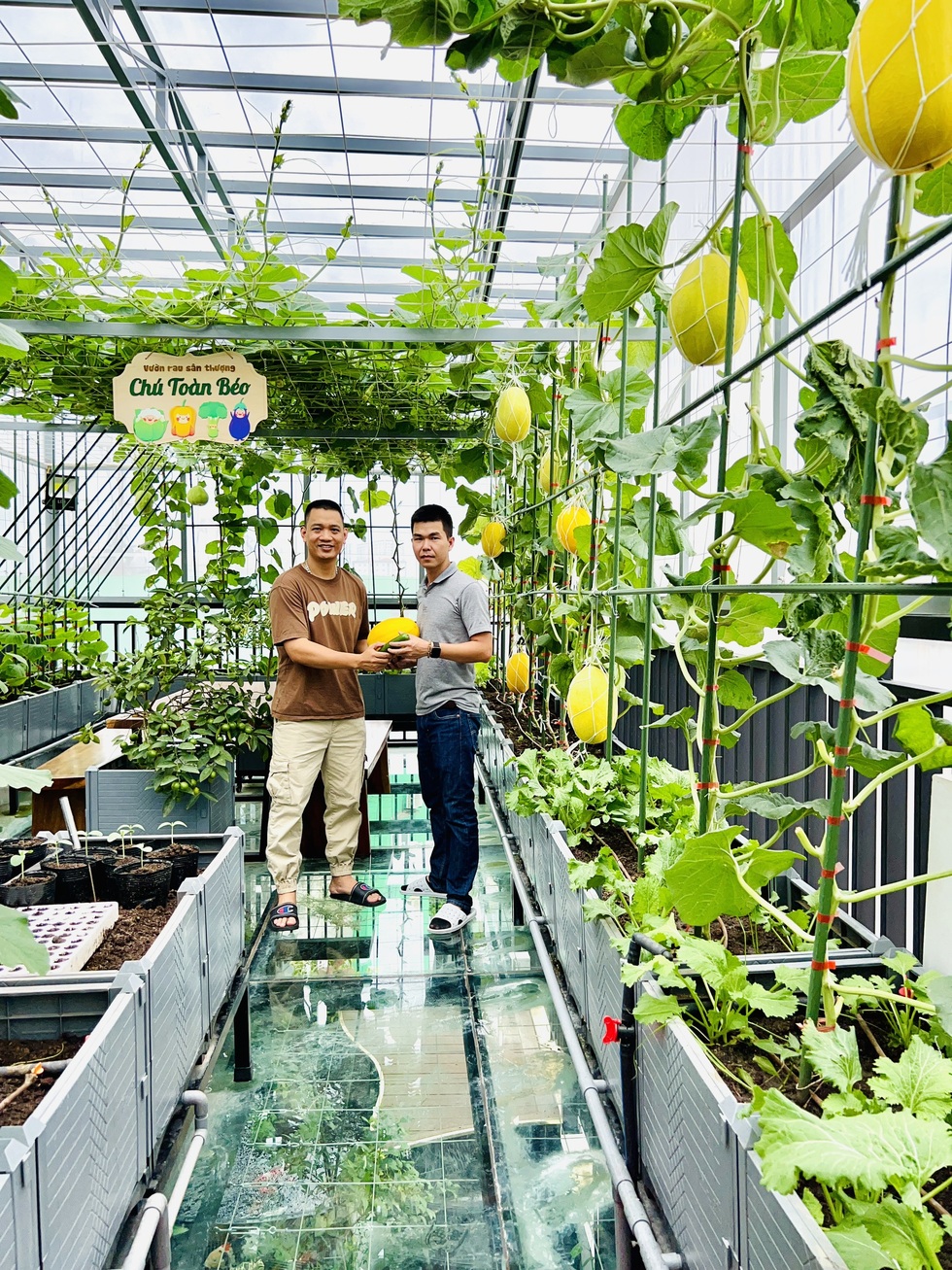 Ông bố ở Hà Nội chi nửa tỷ đồng làm vườn rau sân thượng - 5 Ông bố ở Hà Nội chi nửa tỷ đồng làm vườn rau sân thượng - 5