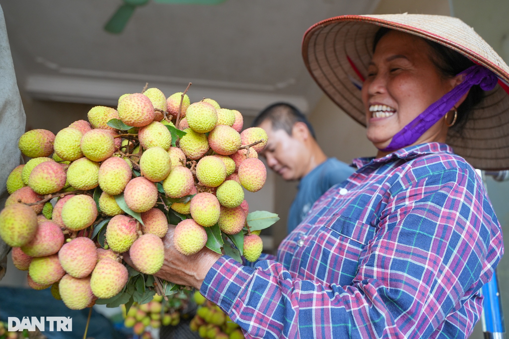 Thủ phủ vải sớm Tân Yên được mùa, người dân phấn khởi thu hoạch - 9 Thủ phủ vải sớm Tân Yên được mùa, người dân phấn khởi thu hoạch - 9