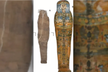 Phát hiện xác ướp cổ đại được bọc trong kén kỳ lạ chưa từng thấy