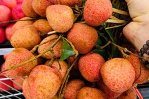 Vải thiều 20.000 đồng/kg, người Sài Gòn “đổ xô” mua ủng hộ nông dân