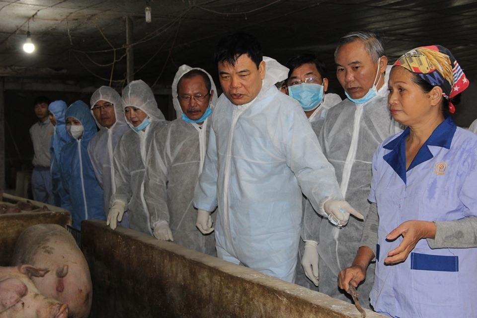 Bán 1 con lợn thu nửa cây vàng, nông dân kể chuyện chưa từng có - 2 Bán 1 con lợn thu nửa cây vàng, nông dân kể chuyện chưa từng có - 2