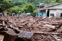 Xã biên giới Nghệ An "chìm" trong gỗ, rác