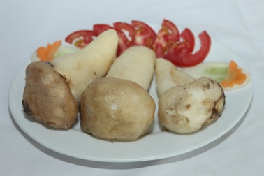 Thương hiệu Lẩu nấm Gia Khánh: Con đường đi tới thành công…