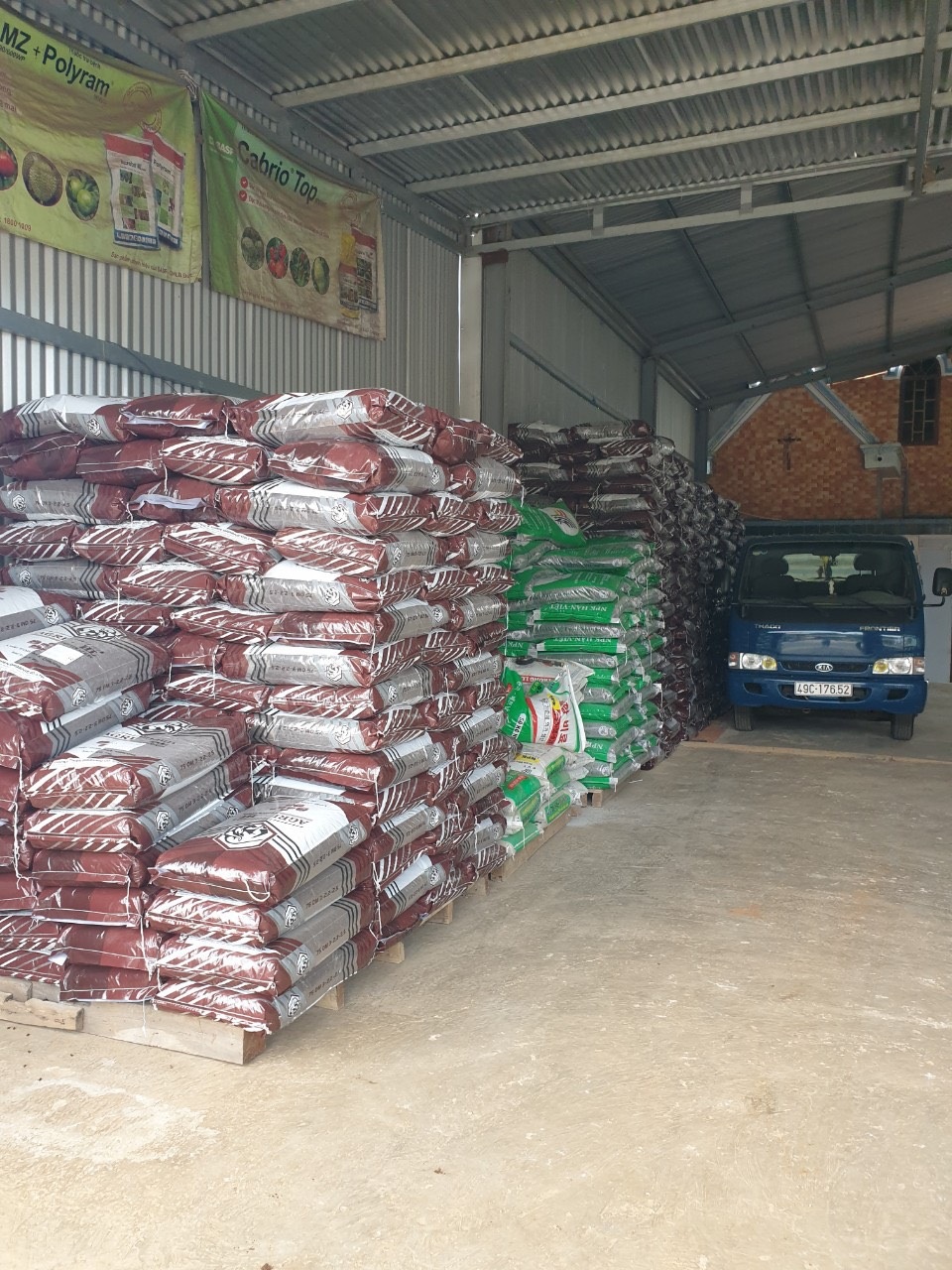 Ông chủ cửa hàng Giáo Nhanh hướng dẫn chọn phân bón phù hợp cho cây trồng - 3 Ông chủ cửa hàng Giáo Nhanh hướng dẫn chọn phân bón phù hợp cho cây trồng - 3