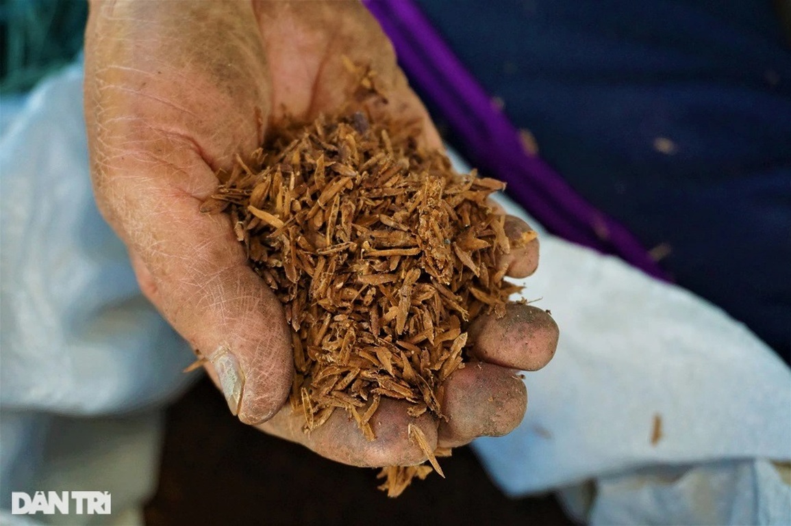 Cuối năm, nông dân lội nước, đạp rơm rạ thành tiền lo Tết - 9