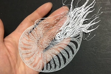 Đỉnh cao của giấy