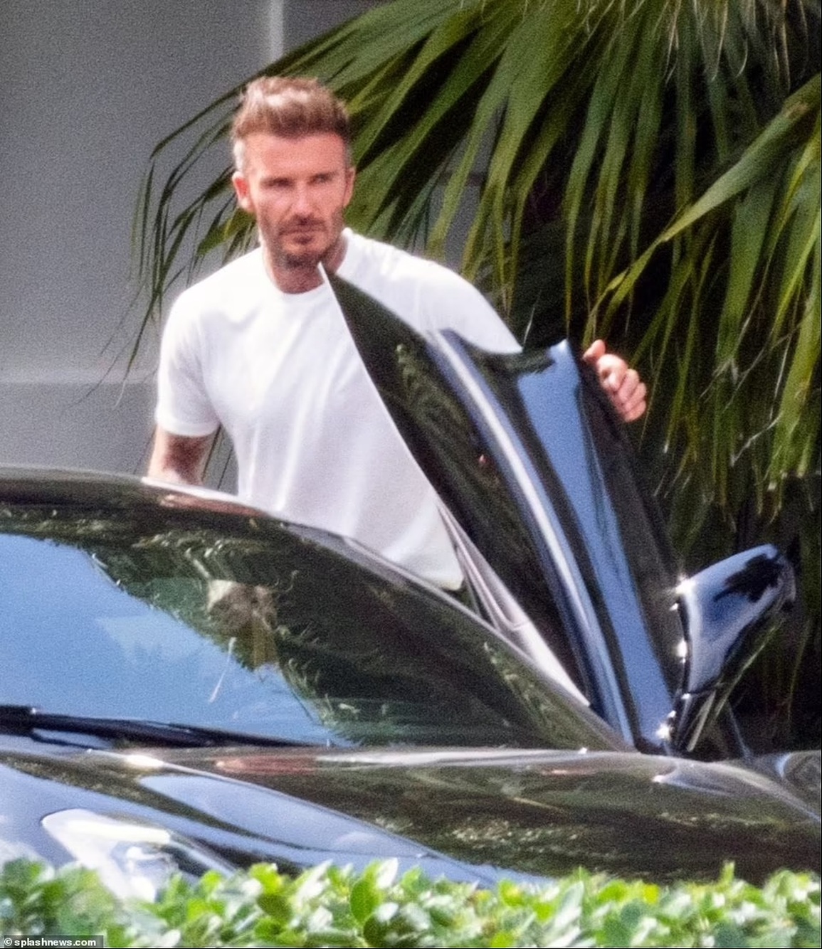 Khi vợ chồng Beckham bị lép vế trước mức độ giàu có của thông gia - 16