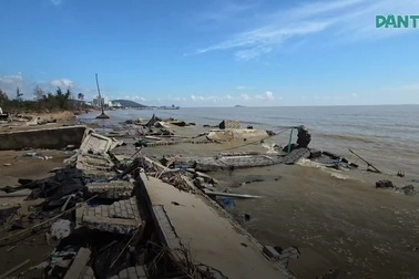 Chủ đầm tôm trắng tay: "Kajiki còn cầm cự, tới cơn Bualoi thì chẳng còn gì"
