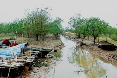 Huyện Tiên Lãng thanh tra quá trình sử dụng đất của gia đình ông Vươn