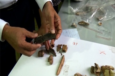 Bất ngờ từ nhiều hiện vật hơn 4000 năm tuổi lần đầu được phát hiện