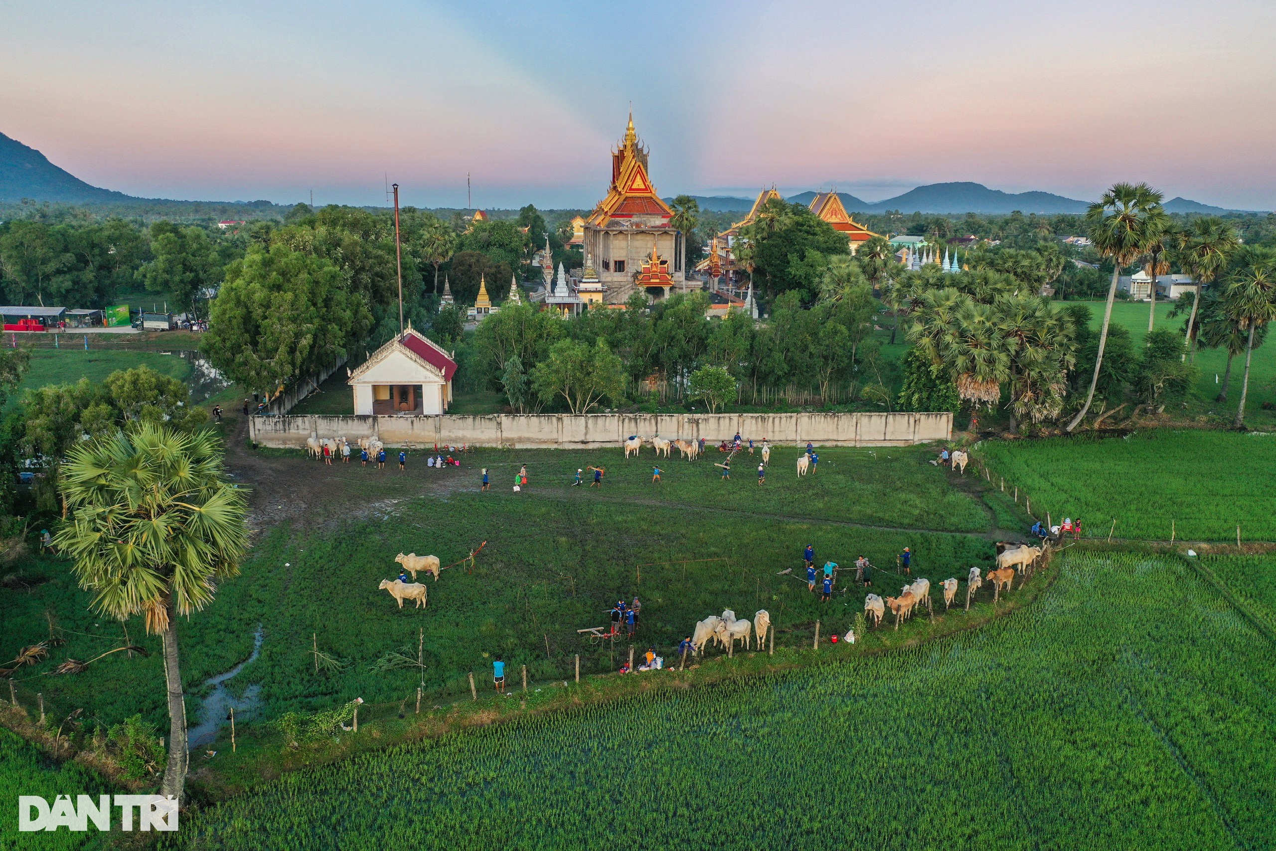 View - Hội đua bò Bảy Núi nhộn nhịp từ 2h sáng | Báo Dân trí