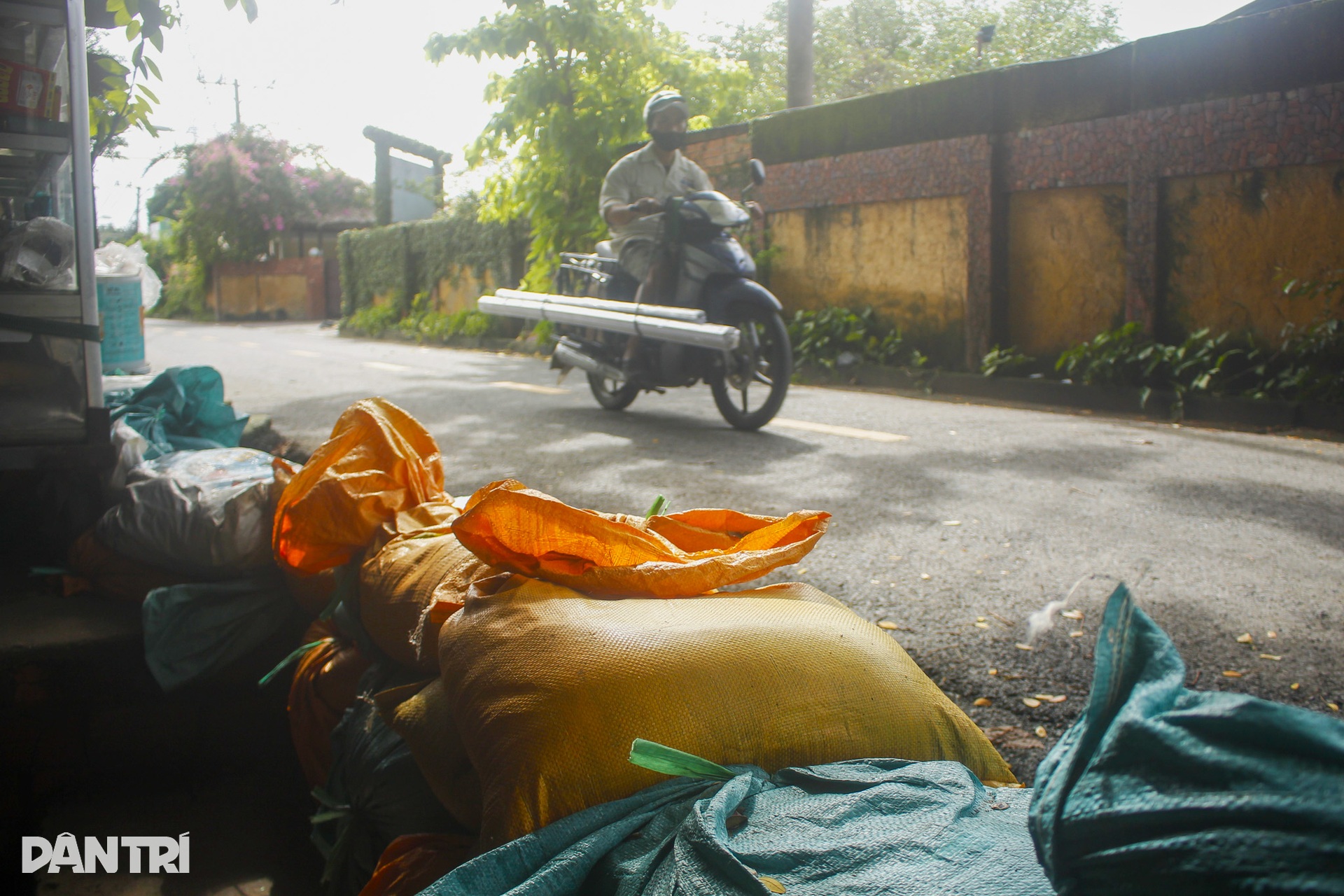 Người dân bán đảo Thanh Đa kiệt sức, tài sản hư hại do triều cường ở TPHCM - 8