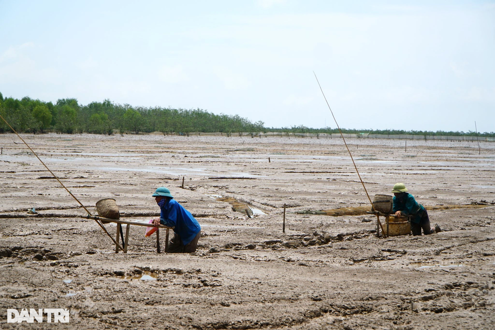 Tuyệt chiêu lướt ván trên bùn lầy, săn loài cá kỳ dị nhất hành tinh - 1