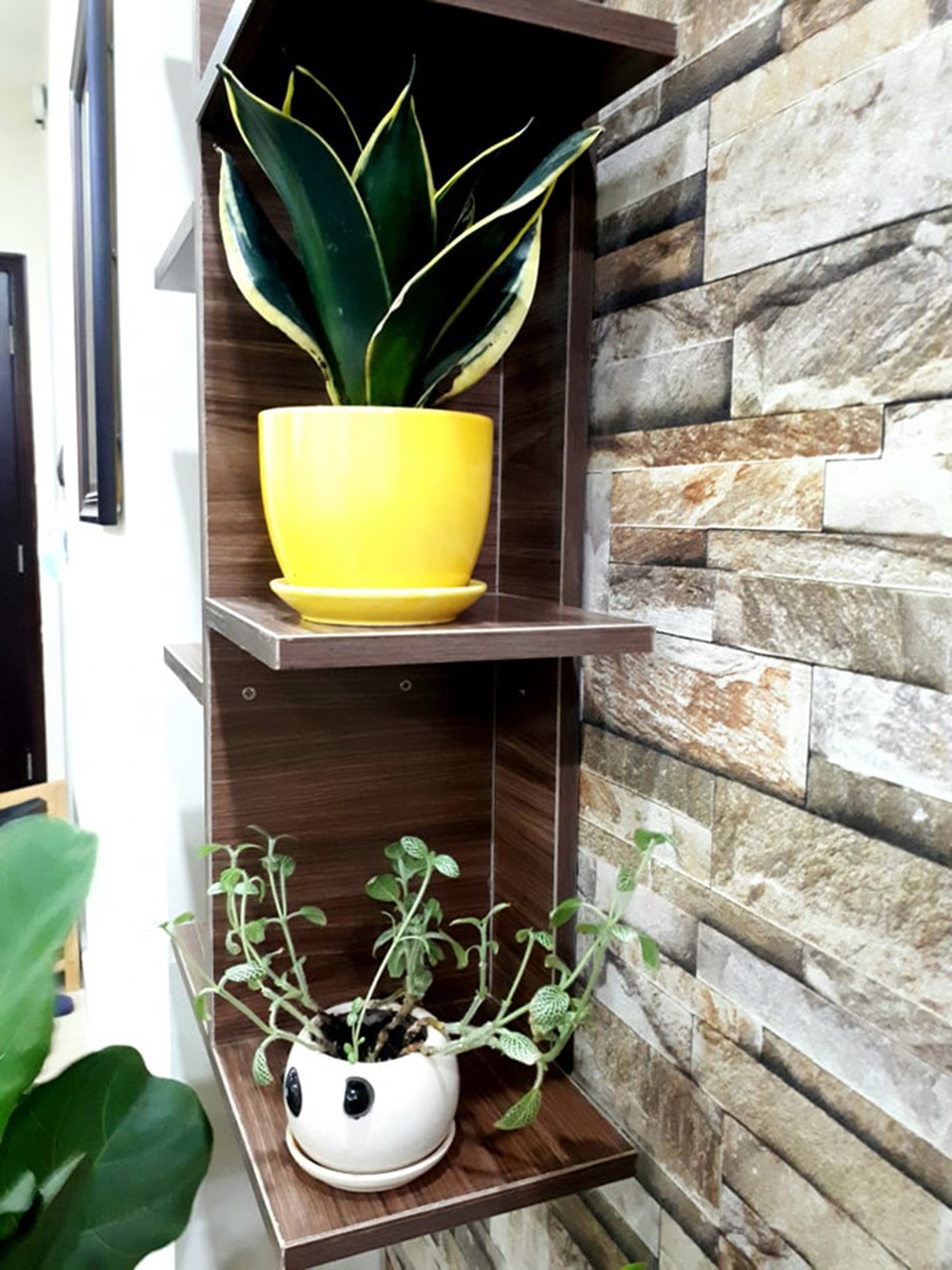 Ca sĩ Hà Vân khoe “vườn rau trên không” - 14