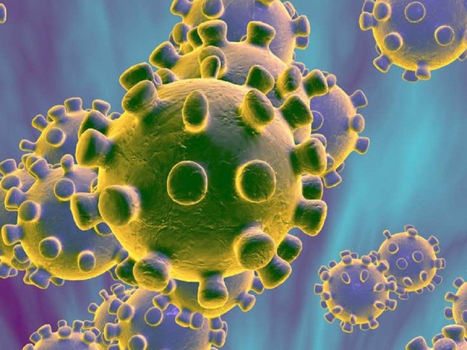 Nghiên cứu: Virus corona vẫn sống sót ở nhiệt độ 60°C - 1 Nghiên cứu: Virus corona vẫn sống sót ở nhiệt độ 60°C - 1