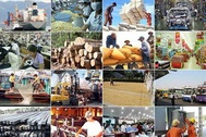 Báo cáo kết quả kinh tế xã hội và chiến lược phát triển trình Đại hội Đảng