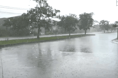 Bạc Liêu dự báo thời tiết nguy hiểm trong vài ngày tới