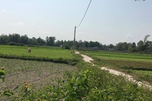 “Cò” tung tin Đà Nẵng thành lập quận mới để thổi giá đất