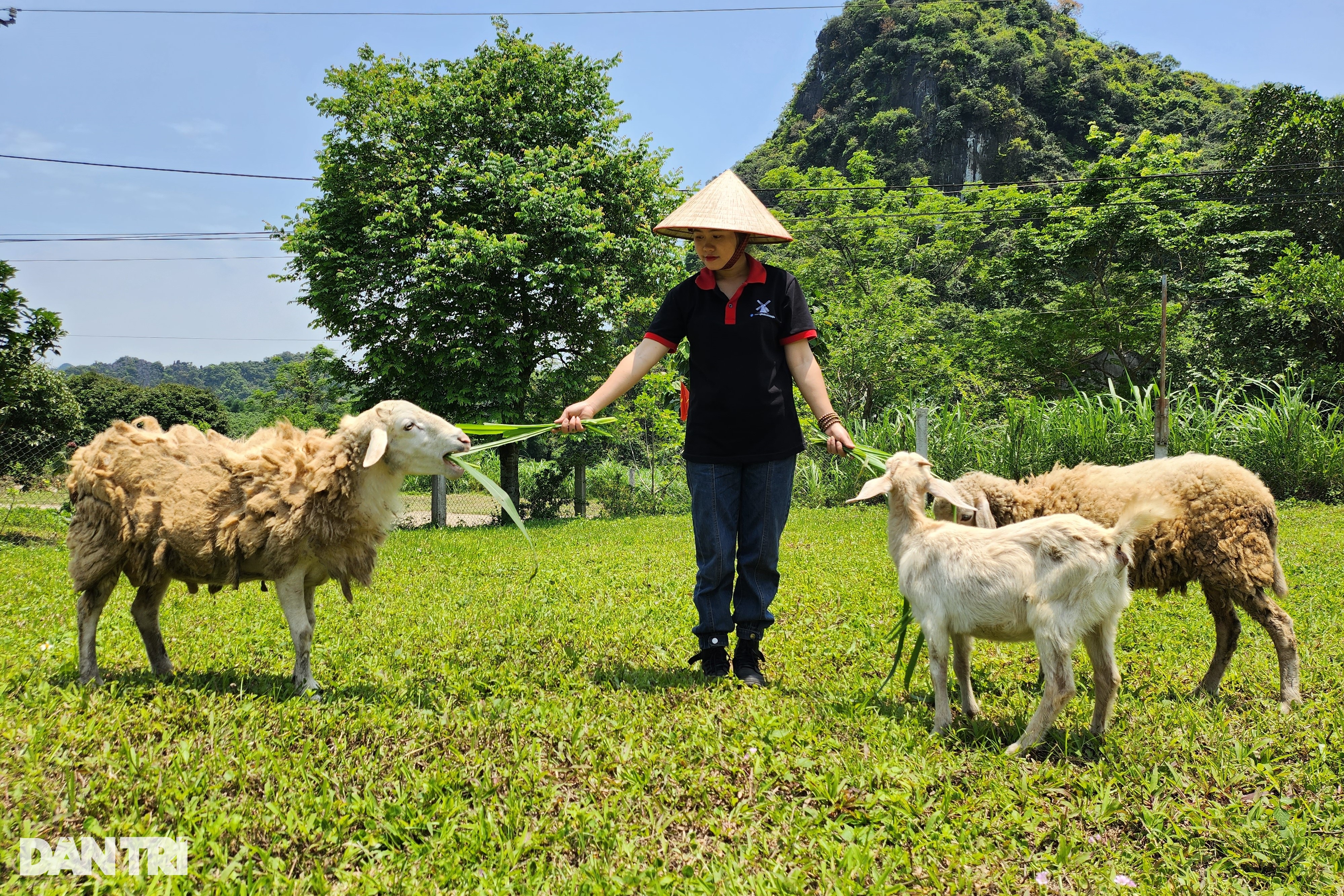 Biến vườn hoang thành điểm check in vạn người mê, 9X thu nửa tỷ đồng - 4 Biến vườn hoang thành điểm check in vạn người mê, 9X thu nửa tỷ đồng - 4