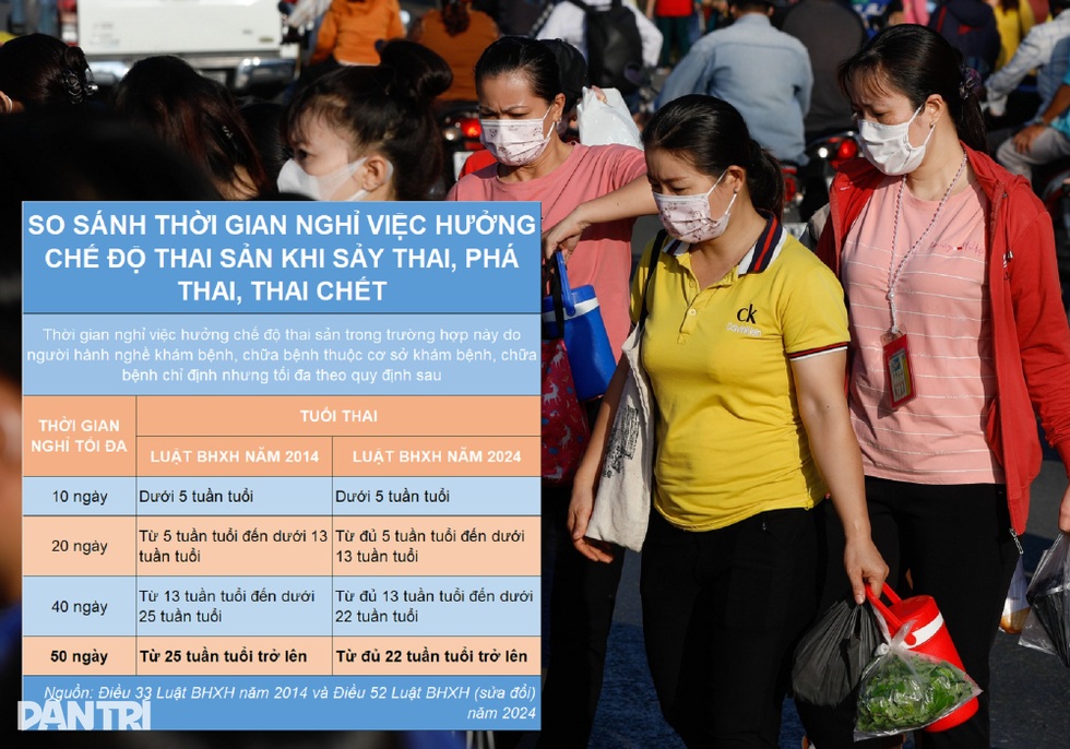 Chế độ thai sản mới: Nghỉ khám thai 10 ngày, tăng quyền lợi cho chồng - 2 Chế độ thai sản mới: Nghỉ khám thai 10 ngày, tăng quyền lợi cho chồng - 2