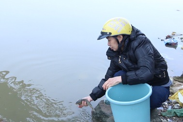 Người Hà Nội thả cá chép sớm tiễn Táo quân về trời