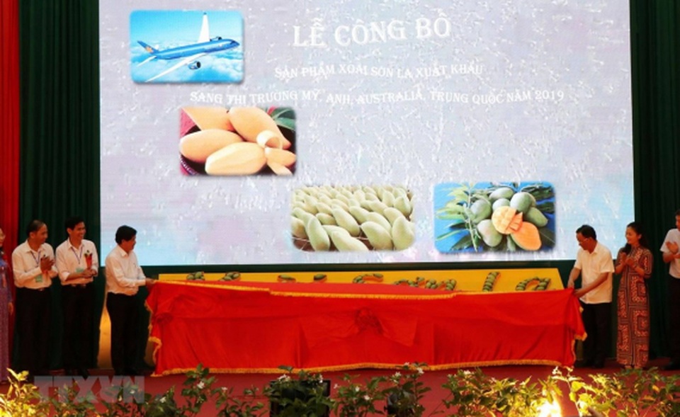 Sẵn sàng xuất khẩu nông sản chính ngạch sang Trung Quốc - 1 Sẵn sàng xuất khẩu nông sản chính ngạch sang Trung Quốc - 1