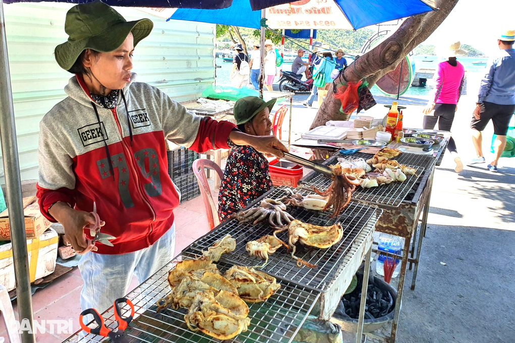Rực rỡ mùa hoa ngô đồng ở đảo Cù Lao Chàm - 7 Rực rỡ mùa hoa ngô đồng ở đảo Cù Lao Chàm - 7