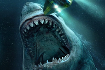 Loài cá quen thuộc này đã đẩy "quái thú" Megalodon tới bờ tuyệt chủng