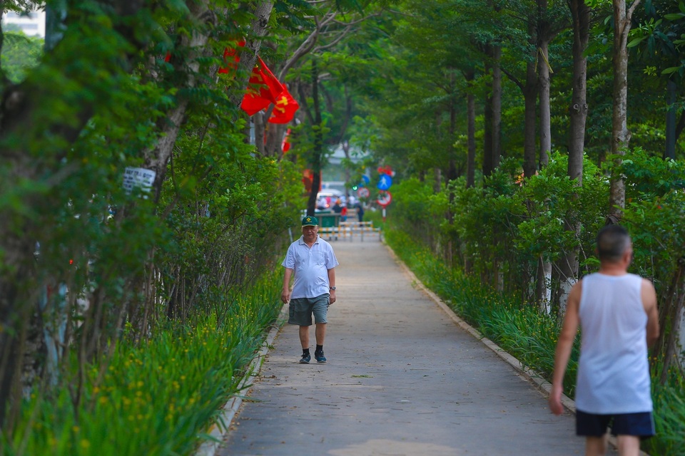 Người Hà Nội thích thú với đường đi bộ rợp cây xanh lãng mạn như phim Hàn - 1 Người Hà Nội thích thú với đường đi bộ rợp cây xanh lãng mạn như phim Hàn - 1