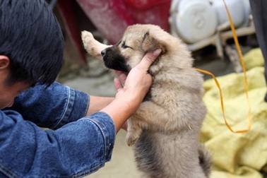 Cún cưng thời thơ ấu!