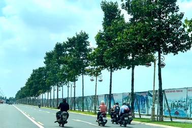 Vụ góp vốn bằng 43ha “đất vàng”: Chưa được giao chủ quyền đã đem đất đi… liên doanh!