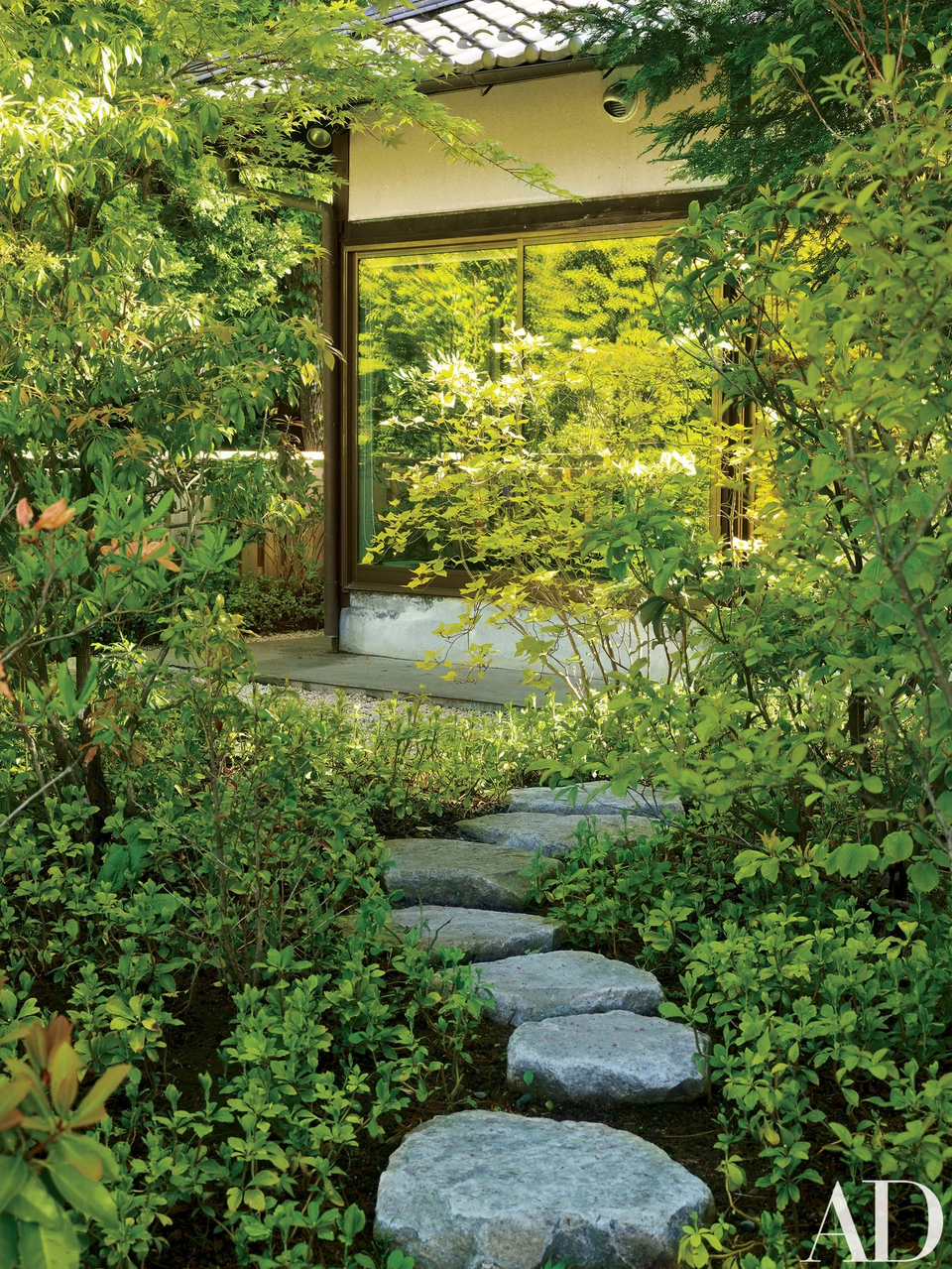 Đôi vợ chồng người Mỹ mua đất, làm nhà sống ẩn cư giữa rừng cây ở Nhật Bản - 8