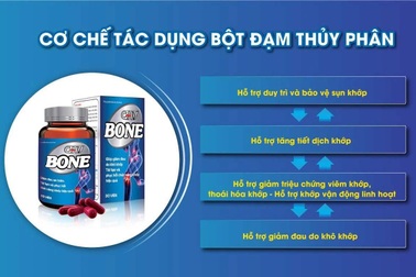 Viên khớp GHV Bone - Món quà Tết ý nghĩa dành tặng gia đình
