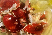 Ăn nấm mua ở chợ, người đàn ông bị suy thận cấp