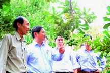 Nỗi đau dưa hấu, nỗi niềm mắc ca