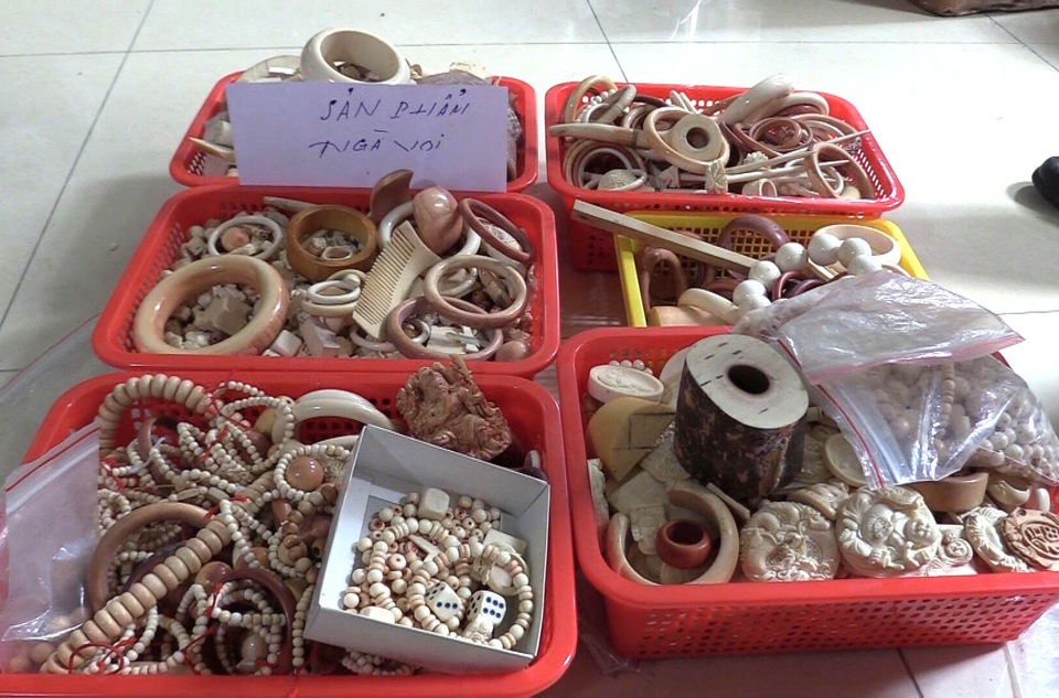 Bắt giữ hàng loạt sản phẩm làm từ động vật hoang dã quý hiếm - 1 Bắt giữ hàng loạt sản phẩm làm từ động vật hoang dã quý hiếm - 1