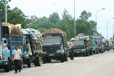 Bán tháo sắn ngập lũ, hàng trăm xe ùn ứ trước nhà máy sắn