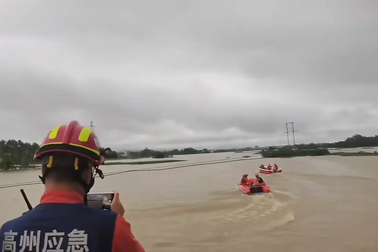 Trung Quốc: Hơn 70 con cá sấu sổng chuồng do mưa lũ