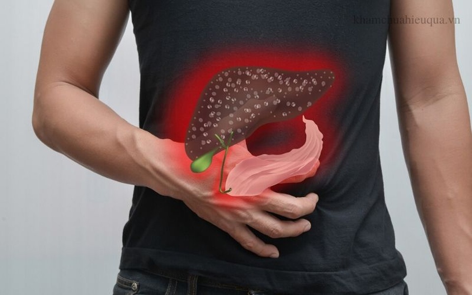 Virus viêm gan B: Kẻ thù siêu nhỏ thách thức y học thế giới - 3 Virus viêm gan B: Kẻ thù siêu nhỏ thách thức y học thế giới - 3