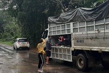 Xe tải "giấu" 15 người vượt chốt kiểm soát Covid-19