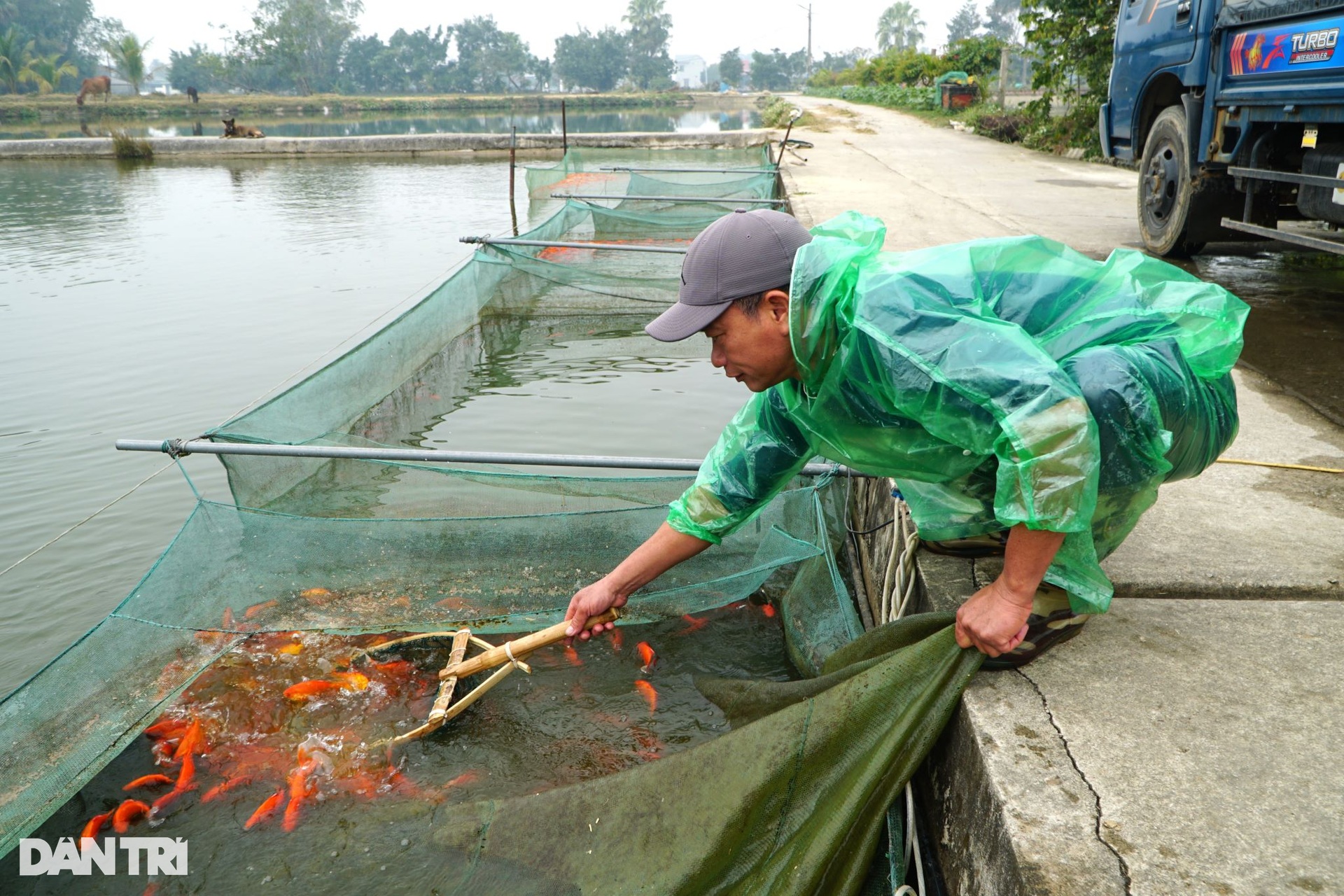 Cất mẻ lưới lớn nhất năm, kiếm trăm triệu đồng dịp Tết ông Công ông Táo - 6 Cất mẻ lưới lớn nhất năm, kiếm trăm triệu đồng dịp Tết ông Công ông Táo - 6
