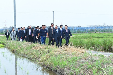 Thủ tướng thăm nông trại Yokoyama (Nhật Bản)