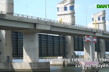 Vì sao siêu cống lớn nhất Việt Nam mở hết cửa van dù đang mặn gay gắt