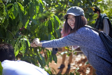 Khi người trẻ thể hiện tình yêu với hạt cà phê