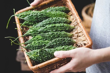 Lợi ích sức khỏe bất ngờ của mướp đắng