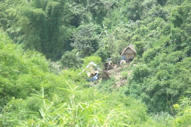 Kỳ lạ khu “rừng ma” và những quan tài gỗ trống rỗng